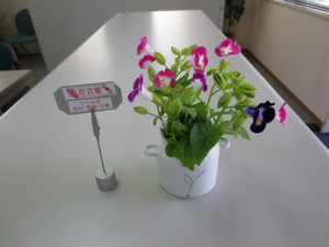 Photo_2 Photo_2