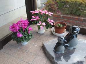 Photo_7 Photo_7