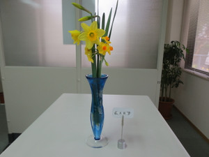 Photo_3 Photo_3