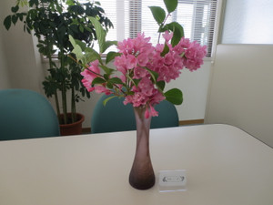 Photo Photo