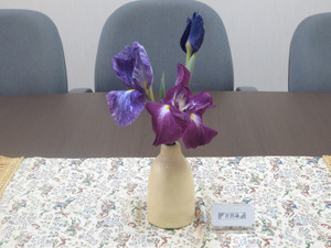 2016061 2016061