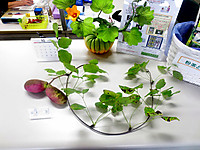 20161018_2 20161018_2