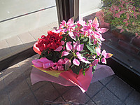 20161207 20161207