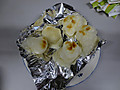 Img_3286 Img_3286