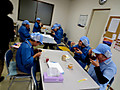 Img_3289 Img_3289