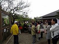 Img_3417 Img_3417
