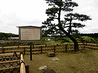 Img_3422 Img_3422