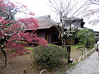 Img_3437 Img_3437