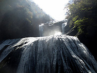 Img_3504 Img_3504