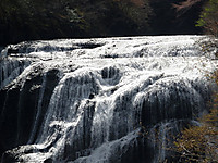 Img_3510 Img_3510