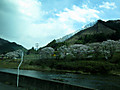 Img_3514 Img_3514