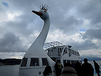 Img_3522 Img_3522