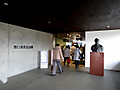Img_3537 Img_3537