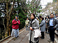 Img_3564 Img_3564