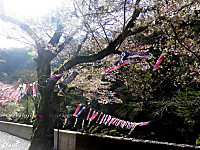 Img_3500 Img_3500