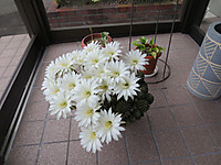 Img_4541 Img_4541